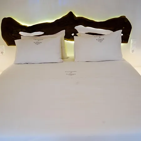 Lägenhetshotell Flaskos Luxury