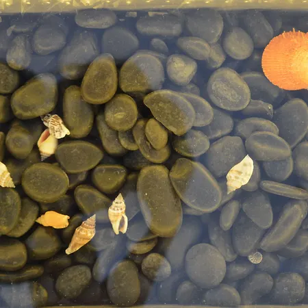 Aparthotel Flaskos Luxury