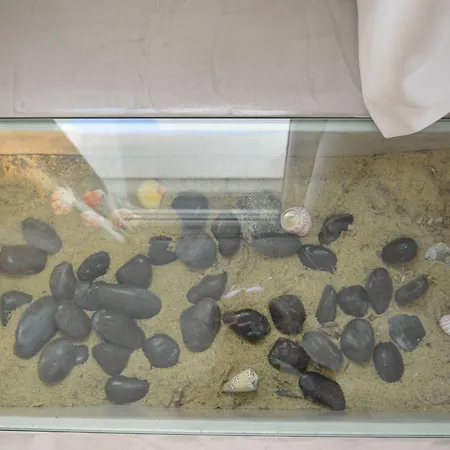 Flaskos Luxury Agios Stefanos (Mykonos)