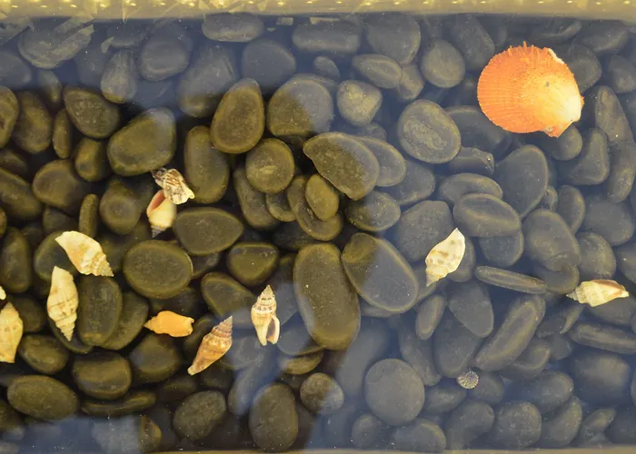 公寓式酒店 Flaskos Luxury