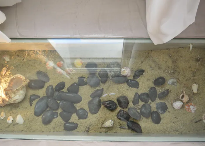 Flaskos Luxury Agios Stefanos Avliotes